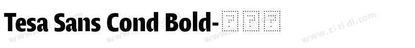 Tesa Sans Cond Bold字体转换 Tesa Sans Cond Bold字体转换